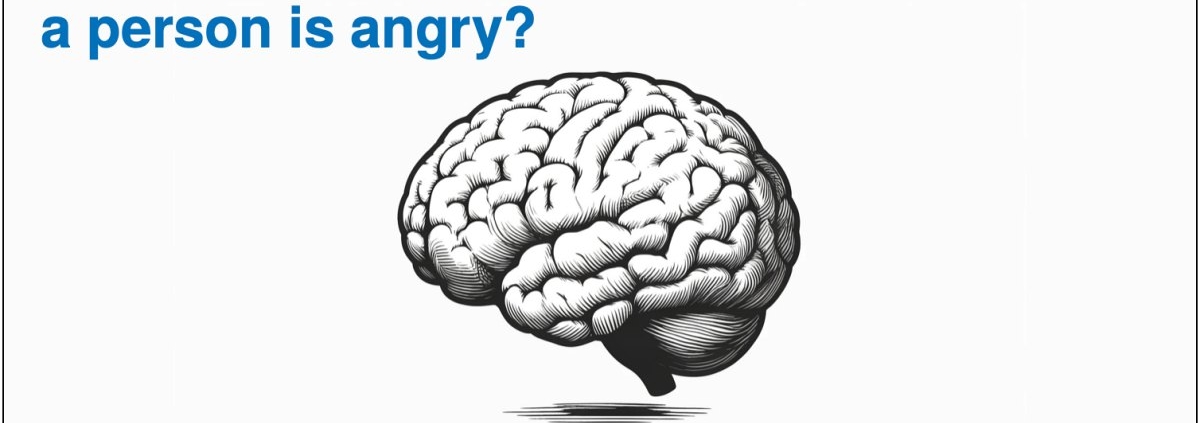 What part of the brain shuts down when angry?