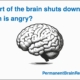 What part of the brain shuts down when angry?